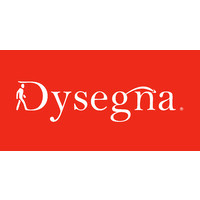 Dysegna logo - Similar company to Bebépolis