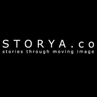 Storya logo - Similar company to Leadosaurus