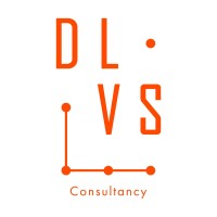 DLVS consultancy ltd logo - Similar company to The Israel Information Technology (It) Association