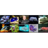 The Aquarium Shop logo - Similar company to My Natural Pet