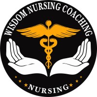 Wisdom Nursing Classes logo - Similar company to Prometheus Hr