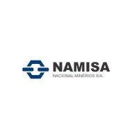 NAMISA - Nacional Minérios S.A. - CSN Group logo - Similar company to Csn Technology
