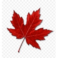 Maple Leaf Human Resources logo - Similar company to Maple Leaf Homes