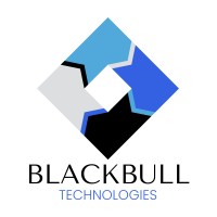 BlackBull Technologies logo - Similar company to Leadgpt