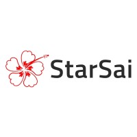 StarSai logo - Similar company to Expertsminds