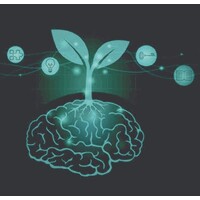 Leadership Mindset logo - Similar company to Robotics Evolution