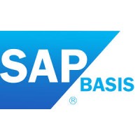 SAP BASIS WORKS logo - Similar company to Baseit
