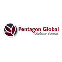 Pentagon Global Solutions Limited logo - Similar company to Netline Technologies Llc
