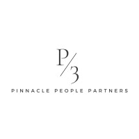 Pinnacle People Partners logo - Similar company to Bad 2 Badass | Google Ads Agency For Local Service Businesses
