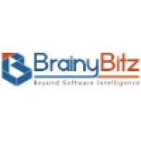 BrainyBitz Solutions logo - Similar company to Code-Concrete Solutions