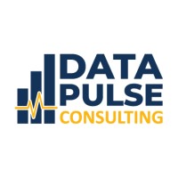 Data Pulse Consulting logo - Similar company to Research Pips
