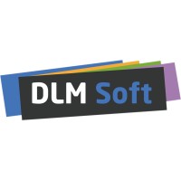 DLM Soft logo - Similar company to TEAMNET