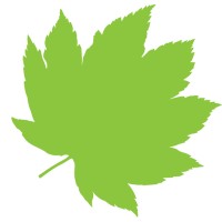 Vine Maple Design logo - Similar company to Eapaisaje