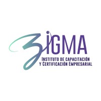 Instituto Zigma logo - Similar company to Dreams Engine