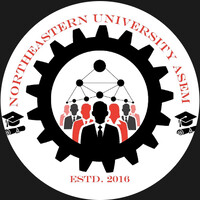 NU American Society for Engineering Management logo - Similar company to Usha Fire Tech