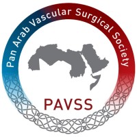 PAVSS logo - Similar company to Intervention Master Aortic Course - Imac