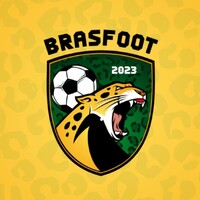 Adelaide Brasfoot Club logo - Similar company to Ct:Iq