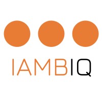 Iambiq logo - Similar company to Tildamail