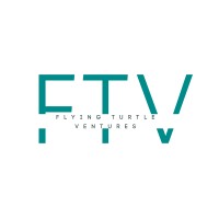 Flying Turtle Ventures logo - Similar company to Chainsync
