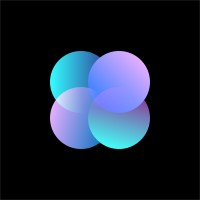 Digital Notion LLC logo - Similar company to Xperisoft Limited