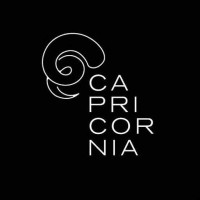 Capricornia Consultancy logo - Similar company to Studio Myller