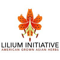 Lilium Initiative logo - Similar company to Sern