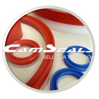 CamSeals logo - Similar company to Norwegian Seals As