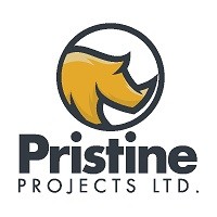 Pristine Projects Limited logo - Similar company to Pristine Projects Ltd