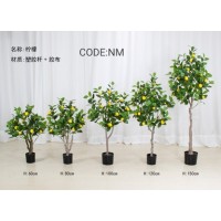 GREEN LOOK GENERAL TRADING L.L.C logo - Similar company to Made With Plants