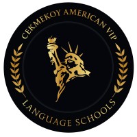 Çekmeköy American Vip logo - Similar company to Beesocial Creative