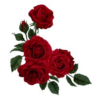 Classic Rose Vintage logo - Similar company to Pc Professional