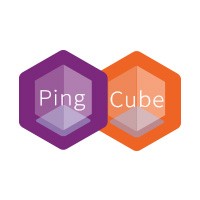 Pingcube Software Private Limited logo - Similar company to Krushal
