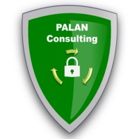 PALAN Consulting logo - Similar company to Paldi Solutions