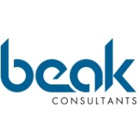Beak Consultants GmbH logo - Similar company to Dronesom - Eit Rm Project