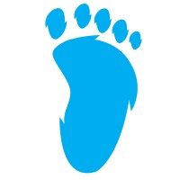Tarheel Media logo - Similar company to Dream Front Labs