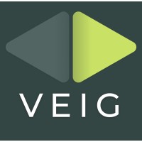 VEIG Company logo - Similar company to Talqui