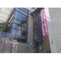 Mill Theatre Dundrum logo - Similar company to Cap Emploi 34