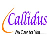 Callidus Research Laboratories Pvt. Ltd logo - Similar company to Chem-Science Laboratories (Pty) Ltd