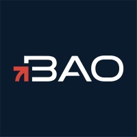 BAO Consulting Group logo - Similar company to Bvwd