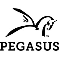 We Are Pegasus logo - Similar company to Eka Concrete Ltd
