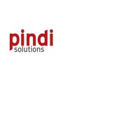 Pindi Solutions logo - Similar company to Revli Management Group