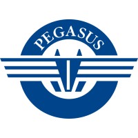 Pegasus Shipping, Inc. & Pegasus Maritime, Inc. logo - Similar company to Clearfreight
