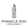 PINNACLE RISK CONSULTANCY logo - Similar company to Securitatem Installations®