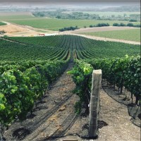 Appellation Wine Tours logo - Similar company to Appellation Wine Tours - Queenstown, Nz