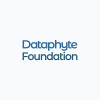 Dataphyte Foundation logo - Similar company to Goloka Analytics