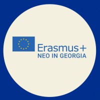 National Erasmus+ Office in Georgia logo - Similar company to Corridors