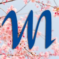 Librairie Martelle logo - Similar company to Fd Majuscule