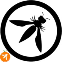 OWASP Nagpur Chapter logo - Similar company to Techwalnut Automation And Software Solutions Pvt Ltd