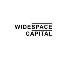 WideSpace Capital logo - Similar company to Wide Space