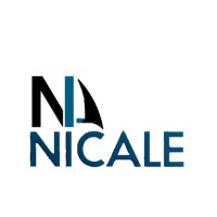NICALE S.A.C. logo - Similar company to Jutmay Inversiones
